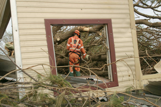 Trusted Balcones Heights, TX Tree Services Experts